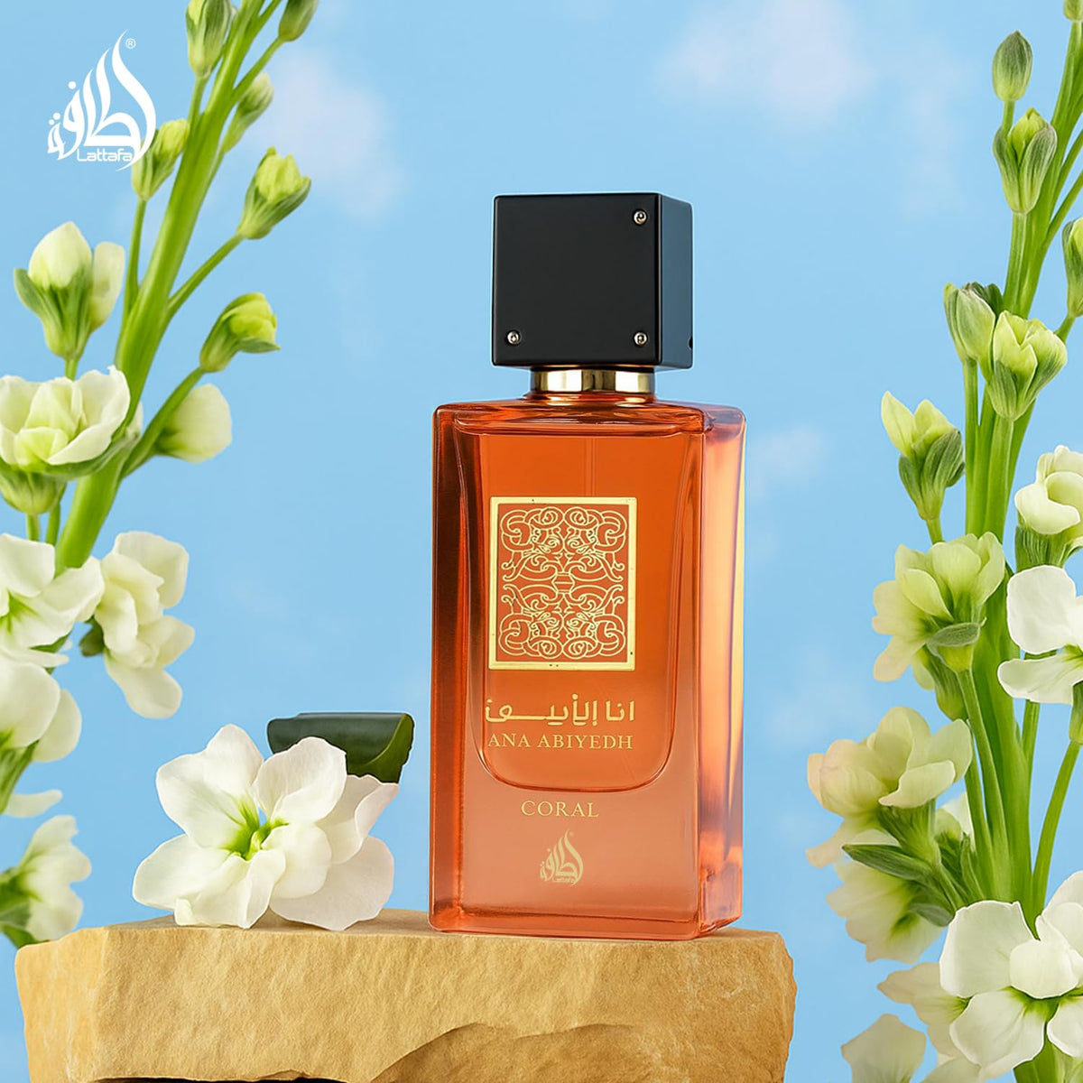Lattafa Ana Abiyedh Coral for Unisex Eau de Parfum Spray - 60 ml