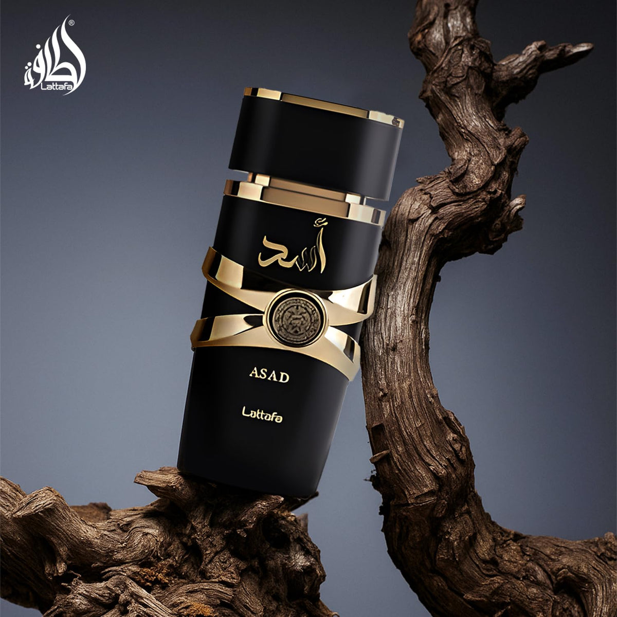 Lattafa Asad  Perfume for Unisex Eau de Parfum Spray - 100 ml
